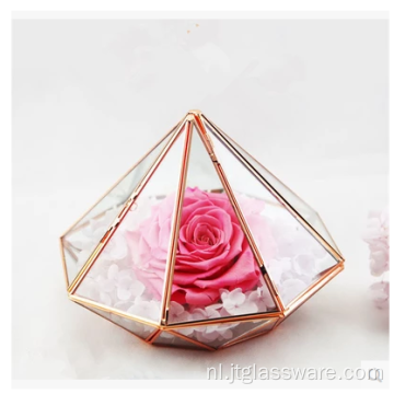 Pentagon Ball Shape Open Planten Glazen Terrarium